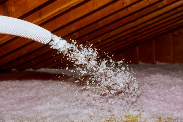 Best DIY Insulation Kits and Guidance in New Pek, IN